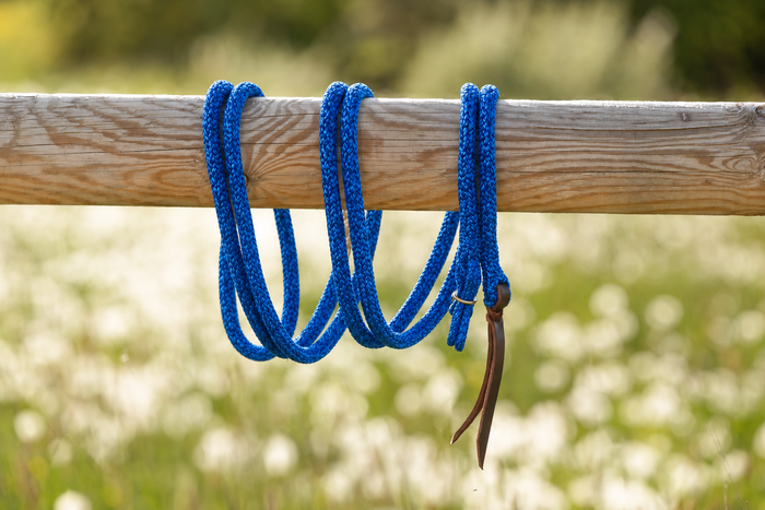 Cobalt — Gaucho rope with gold hardware on a wooden beam