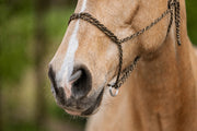 Trinature — Moveo mit silbernen Beschlägen